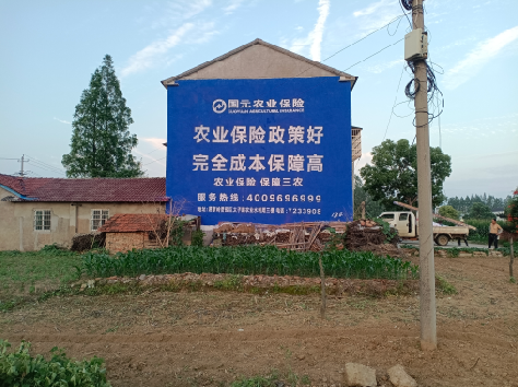 衡南墙体广告的优劣势你知道吗？